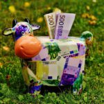 piggy bank, money, cow, dollar bill, 500 euro, piggy, save up, ceramic, economical, fun, save money, finance, porcelain, euro, piggy bank, piggy bank, piggy bank, piggy bank, piggy bank, money, money, money, save money, save money, save money, euro, euro